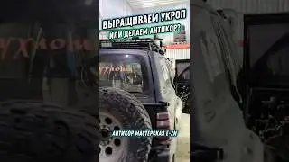 Пора открывать плантации риса и укропа! 😂 #антикор #антикорозийнаяобработка #автомастерская #авто