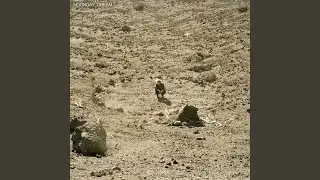 The Defeat