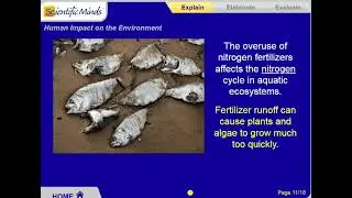 Human Impact on the Environment