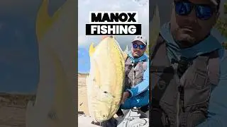 Monster Jack in Marco Island from Hobie Lynx kayak!