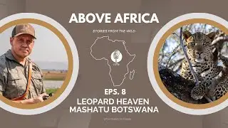 Episode 8 - Leopard Heaven MASHATU BOTSWANA