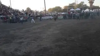 Aaron Ortiz VS &Eacute;l Mole, Los tarascos, colusa ca.