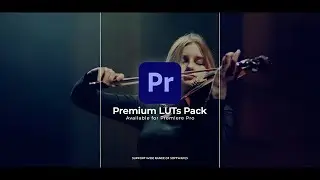 LUT Color Presets   Premiere Pro, Elements ft  3d lut & after effects