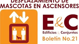 Desplazamiento de Mascotas en Ascensores - Edificios & Conjuntos, Boletín No.  21