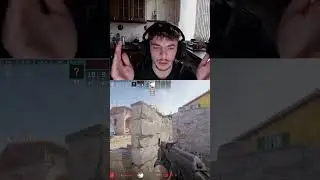 ШО ПО КИТАМ???🐋🐳