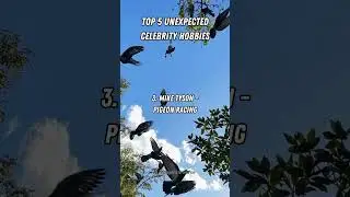 Top 5 unusual celebrity hobbies #shorts #top #subscribe
