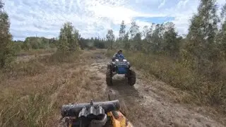 reverse only