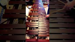 【本能 / 椎名林檎】マリンバ ソロ演奏【毎日投稿】　#shorts　#椎名林檎　#marimba