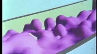 Soft