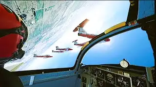 Join the Virtual Snowbirds | The Ultimate Formation Aerobatics Experience
