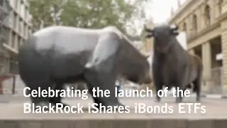 Celebrating the BlackRock iShares iBonds Etfs