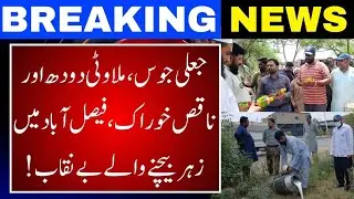 Fake Juice Factory Busted in Faisalabad | Adulterated Milk & Snacks Seized by Food Authority