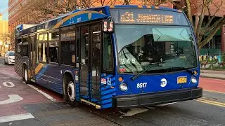 MTA: On Board 2019 Novabus LFS #8517 On The Q31 Local Bus To Jamaica Ctr-Parsons Blvd: (03/08/2022)