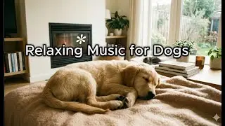 강아지가 좋아하는 음악 | 9시간 반복  Music My Dog Loves | 9 Hours Loop (Relaxing Background Music)