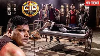 গুন্ডারা দয়াকে অপহরণ করে, শিকল দিয়ে বেঁধে মারধর করে।  || CID BANGLA  || NEW EPISODE