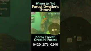 Where to Find Forest Dweller's Sword | #Zelda Tears of the Kingdom #totk