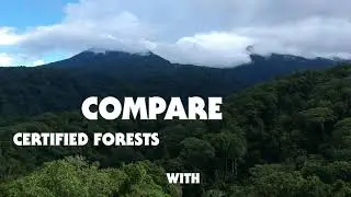 FSC Impact Dashboard