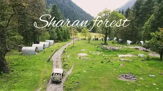 Sharan forest / Sharan waterfall / Mission kaghan series / episode  02
