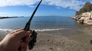 ψάρεμα 26 10 2025 για όσους δεν πιστεύουν ότι έχει γεμίσει ο τόπος με λαγοκεφαλα θα στο αποδείξει