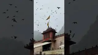 Tara ri Chunadi |Jai Jamway mata|🚩🚩 #shorts #youtubeshorts#shortsfeed #youtube#