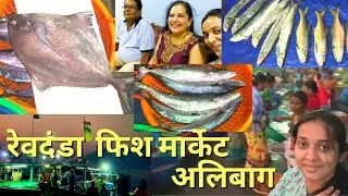 पहाटे ५ वाजता ( बोनीच्या time वर ) गेलो मासे घ्यायला अलिबागच्या रेवदंडा बंदरावर, काय ते लख लख सोनं !