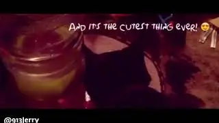 Cats ear flick whilst drinking