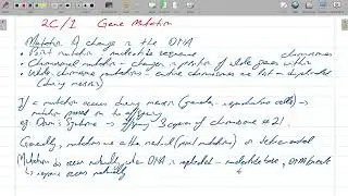 AS Biology - Cambridge/ AQA/ Edexcel - Session 2025-26 - Class # 19