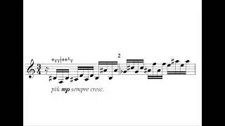 Easley Blackwood - Twelve Microtonal Etudes [Version in 12 tone Equal Temperament - Score Video]