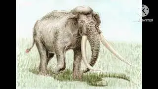 Ranking Extinct Animals from Easiest to Strongest