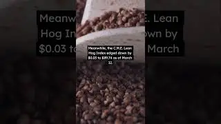 Lean hog futures showcased significant strength #meat #hogger #moodboosting