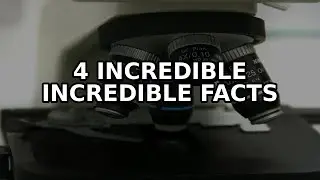4 Incredible Facts About Fascinating tales from the microscopic realm