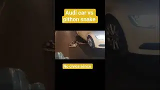 #audi car accident with pithon snake #accident