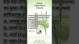 Stem Borer का Lifecycle? | Ag Zoology MCQ #40 | Pest Control #smartagricultureclasses