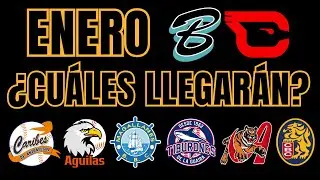 LVBP 25-26: Cardenales y Bravos a postemporada ¿Cuáles serán los otros tres?