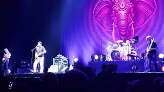 Beat matte kudasai Argentina movistar arena 2025