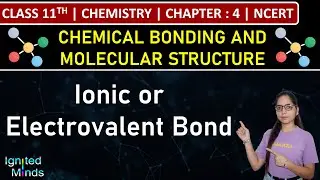Class 11th Chemistry | Ionic or Electrovalent Bond | Chapter 4 | NCERT