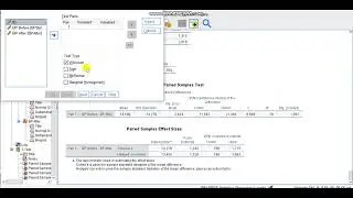اختبار t لعينتين مرتبطتين (Paired Samples T-Test) و اختبار ويلكوكسن Wilcoxon