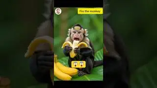 Baby Monkey Banana Eating Technique is Genius 🧠🐒| #shorts #youtubeshorts