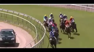 Pferdewetten nach System-Max-Klante 28.3.2019 Reims/France + gewonnen