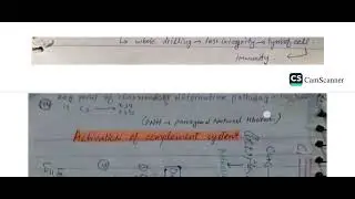 compliment-system-activation-urdu/hindi #inflammation #medicalstudent #generalpathology