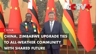China, Zimbabwe Upgrade Ties to All-Weather Community with Shared Future