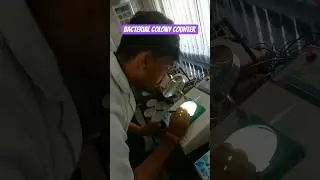 Bacterial colony counter 🧫🦠 Dept. of VPHE,BVC Patna #bacteria #bvc #patna #vphe #microbiology #bvsc