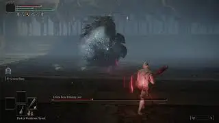 Divine Beast Dancing Lion | RL1 | No Hit | No Scadu Blessing