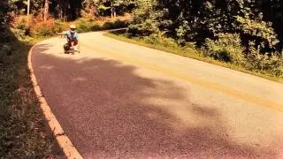 Longboarding, East Coast Shredding