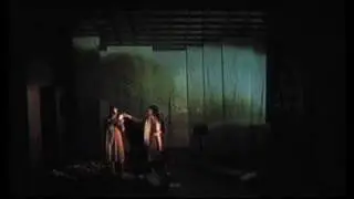 Zora D