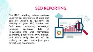 Web Design Company in Tampa   VSF Marketing