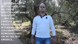 International Olive Day LEBANON TURKEY 3part