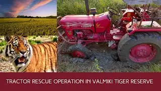Tractor Rescue | Indo-Nepal Border Village | Valmiki Tiger Reserve