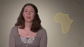 Data for development: estimating food security in Africa with mobile phone data