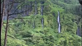 Good nature 